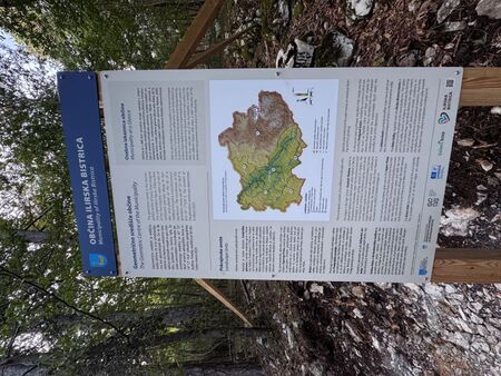 Geometrično središče občine Ilirska Bistrica  (3)